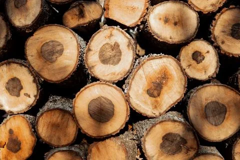 Stack of firewood Foto stock