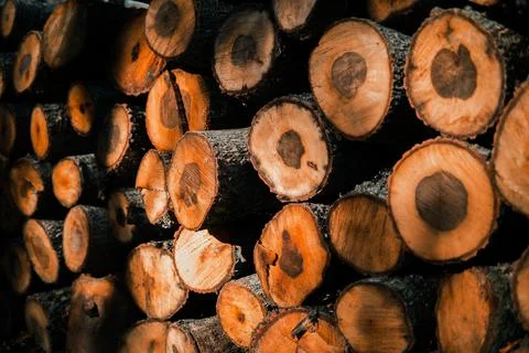 Stack of firewood Stock Photos