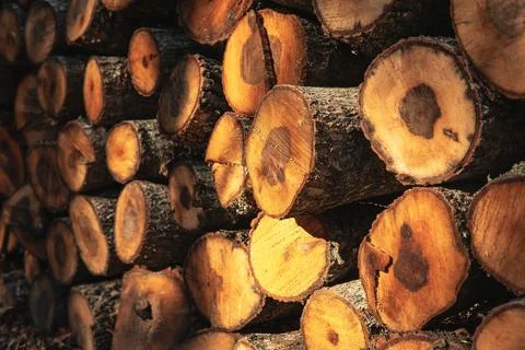 Stack of firewood Stock Photos