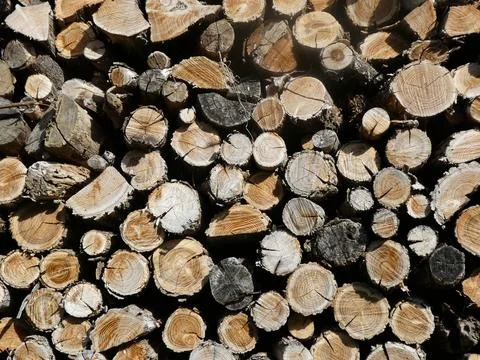 Stack of Firewood Foto stock