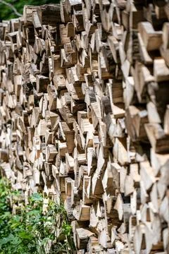 Stack of Firewood Stock Photos