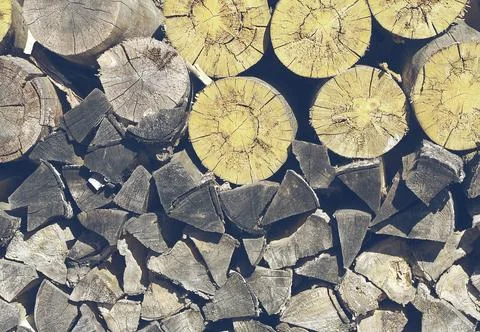 Stack of firewood Stock Photos