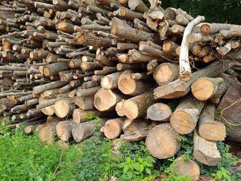 A stack of firewood Stock Photos