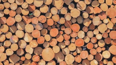 Stack of firewood , pieces of wood for heating wood. Lumber industry Stock Footage 108922865