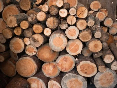 Stack of firewood pile close up front view Stock Photos