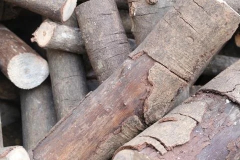Stack of firewood for Putting it to make fuel. Foto stock