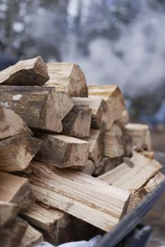 Stack of Firewood – Rustic Spring Outdoor Scene Stock Photos