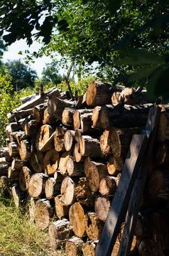 A stack of firewood, sawn wood in the backyard. Stock Photos