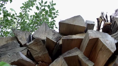 Stack of Firewood (slider shot) Stock Footage 142746344