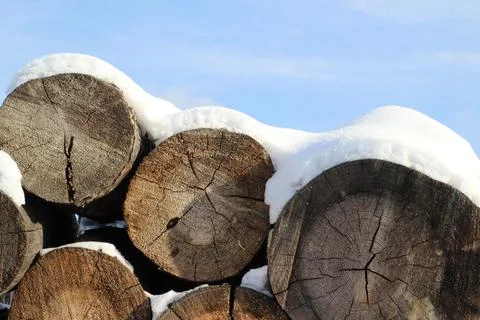 Stack of firewood snow covered in winter Stock Photos
