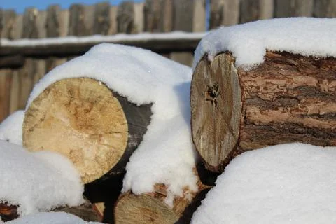 Stack of firewood snow covered in winter Stock Photos