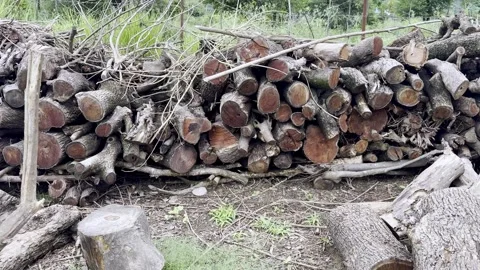 Stack of Firewood Timber Stored for Fuel Use Stock Footage 341498444