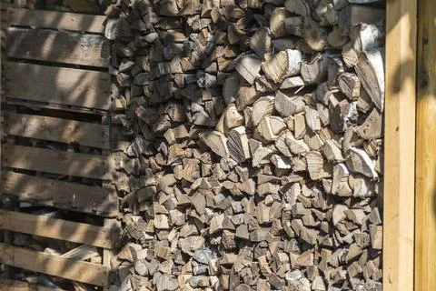 Stack with firewood for the winter 写真素材