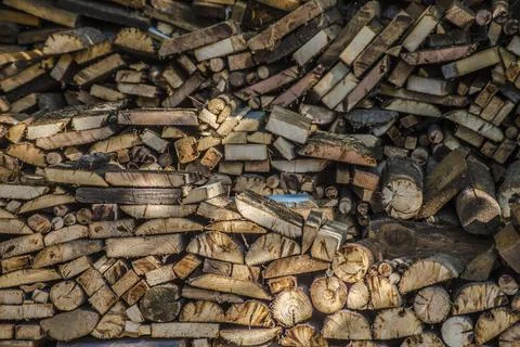 Stack with firewood for the winter Foto stock