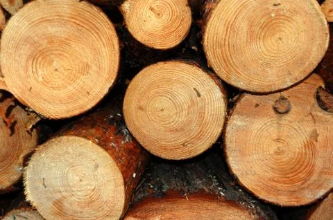 Stack of firewood with wooden texture close up Stock Photos