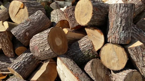 Stack of firewoods and logs close up view Stock Footage 152376855