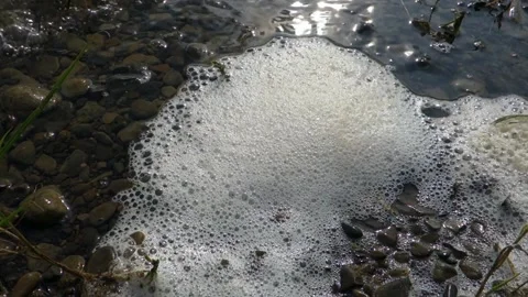 Stack of foam on the shore of Lake accumulated torrential waves Stock Footage 138011725