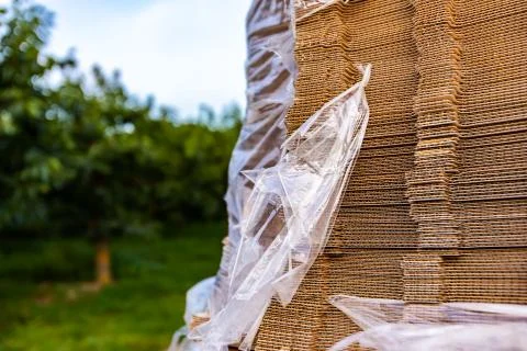 Stack of folding paper boxes 스톡 사진