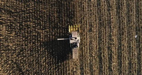 Stack of footage: Aerial view of combine harvester working. 4k 스톡 동영상 116488451