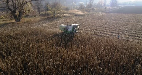 Stack of footage: Aerial view of combine harvester working. 4k Stockbeeldmateriaal 116488607