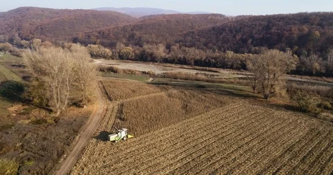 Stack of footage: Aerial view of combine harvester working. 4k Stockbeeldmateriaal 116489105