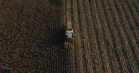 Stack of footage: Aerial view of combine harvester working. 4k Stockbeeldmateriaal 116489246