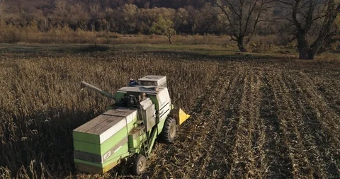Stack of footage: Aerial view of combine harvester working. 4k Stockbeeldmateriaal 116489561