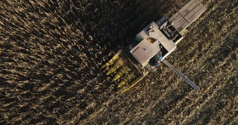 Stack of footage: Aerial view of combine harvester working. 4k Stockbeeldmateriaal 116489977