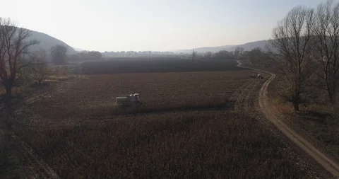 Stack of footage: Aerial view of combine harvester working. 4k 動画素材 116490438