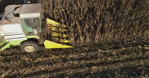 Stack of footage: Aerial view of combine harvester working. 4k 動画素材 116490460