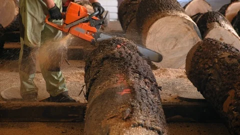 Stack of footage: Cutting through wood with chainsaw in slow motion 動画素材 117699927