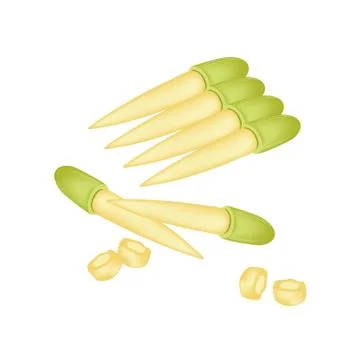 Stack of Fresh Baby Corns on White Background Ilustración de archivo