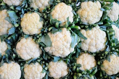 A Stack of Fresh Cauliflowers Stock Photos