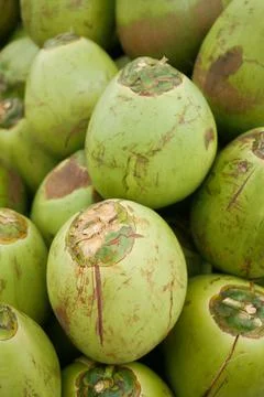 Stack of fresh coconut display for sale Foto stock