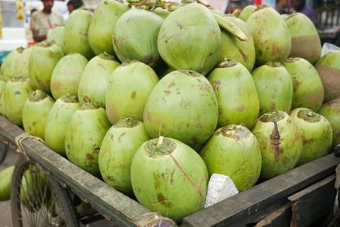 Stack of fresh coconut display for sale Foto stock