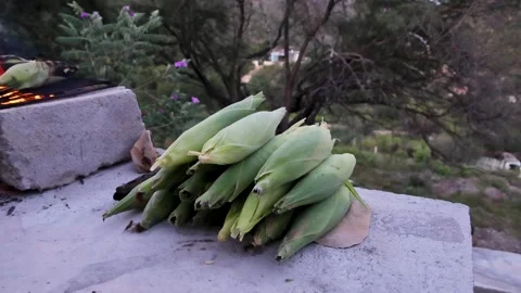 Stack Of Fresh Corn In Husk On Outdoor Stone Grill In Rural Countryside Stock Footage 345371181