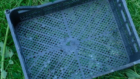 Stack fresh crop of carrots Vidéo 125617364