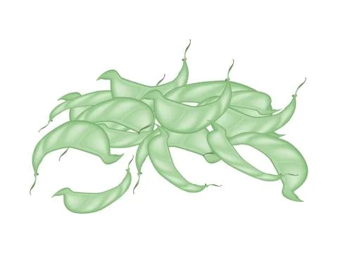 A Stack of Fresh Dolichos Lablab Pods Stock Illustration