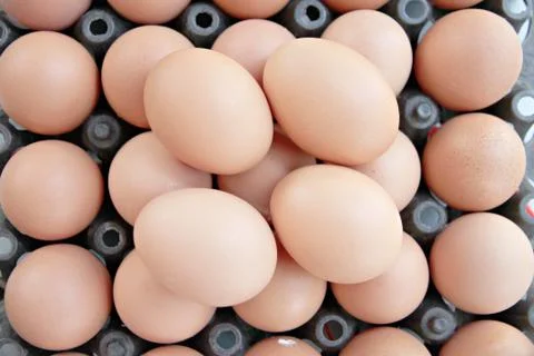 Stack of fresh egg container box. 스톡 사진