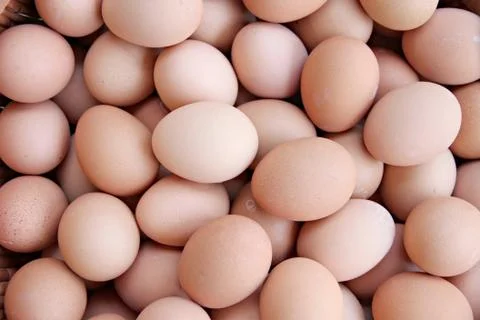 Stack of fresh egg container box. 스톡 사진