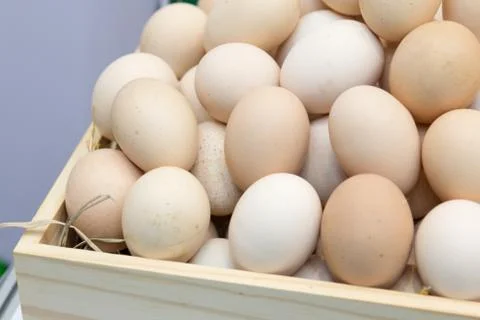 Stack of fresh eggs in the box Stock Photos