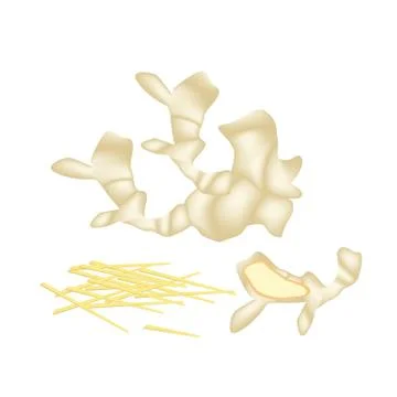 Stack of Fresh Ginger Roots on White Background Stock Illustration