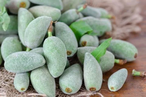 Stack of Fresh Green Almond Nut Fruits on table Stock Photos