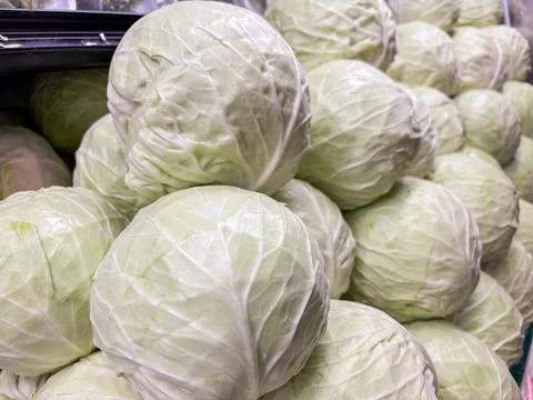 Stack of fresh green cabbages on display in a grocery store produce section 写真素材