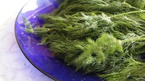 Stack fresh green dill on a plate. Real time, medium shot, natural light Stock Footage 108665709