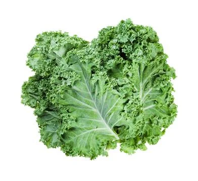 Stack of fresh green leaves of curly-leaf kale stack of fresh green leaves... Foto stock
