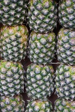Stack of fresh Pineapple background Stock Photos