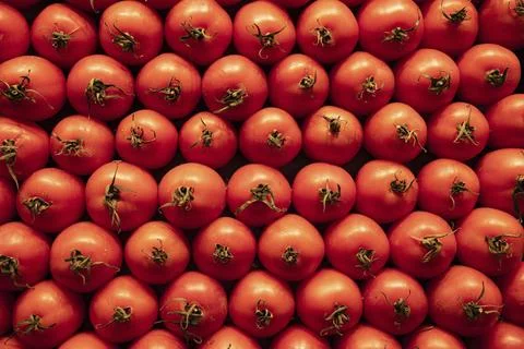Stack of fresh red healthy tomatoe vegetables on a fruit market for sale 스톡 사진