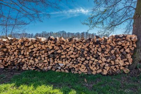Stack of freshly cut firewood cubes on the grass 스톡 사진
