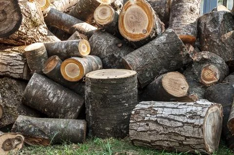 Stack of Freshly Cut Firewood Logs Outdoors Stock Photos